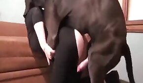 Ensaio porno gay com malandro do pau grande sendo fotografado - sexo de cachorro,sexo foda animal